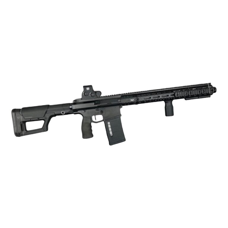 AR-10 Series .308 rifle